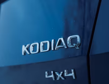 Škoda Kodiaq 4×4 [CIS] '2017–21