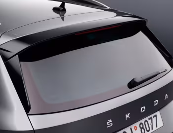 Škoda Kodiaq 4×4 [Worldwide] '2021–24