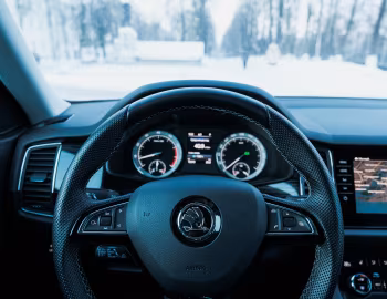 Painel Škoda Kodiaq 4×4 [CIS] '2017–21