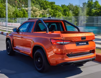 Škoda Mountiaq Concept '06.2019