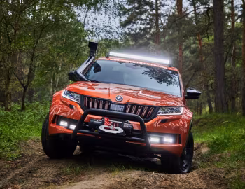Škoda Mountiaq Concept '06.2019