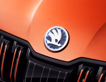 Škoda Mountiaq Concept '06.2019
