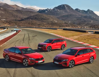 Škoda Kodiaq, Škoda Octavia