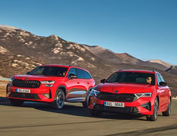 Škoda Kodiaq, Škoda Octavia