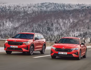 Škoda Kodiaq, Škoda Octavia