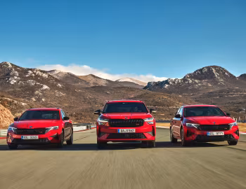 Škoda Kodiaq, Škoda Octavia