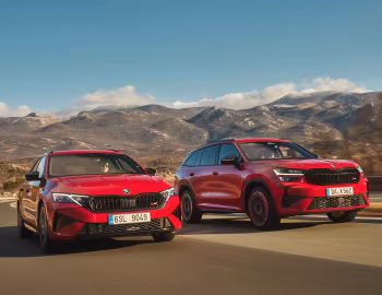 Škoda Kodiaq, Škoda Octavia