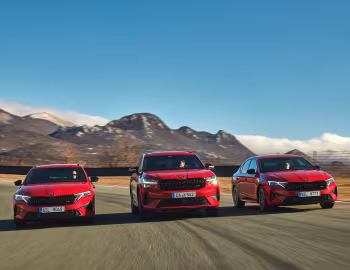 Škoda Kodiaq, Škoda Octavia