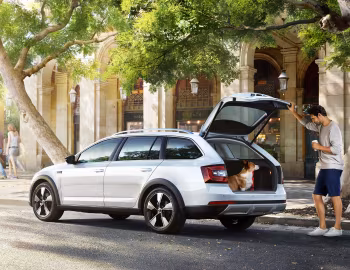 Škoda Octavia Combi [China] (5E) '2017–23