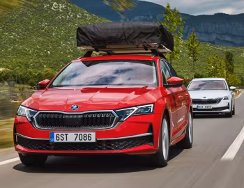 Škoda Octavia Combi 4×4 [Worldwide] '2024–pr.