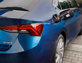 Škoda Octavia G-Tec [Worldwide] '2020–24
