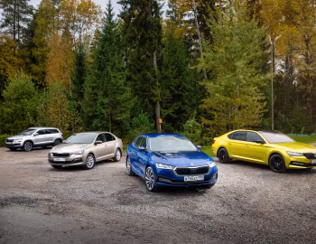 Škoda Karoq, Škoda Superb, Škoda Octavia, Škoda Rapid
