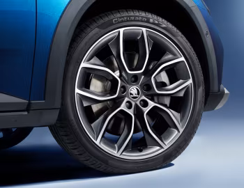 Škoda Superb Scout [Worldwide] (3V) '2019–24