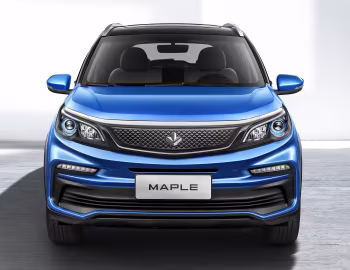 Maple 30X '2020–pr.