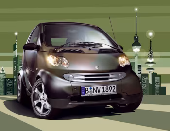smart fortwo "camouflage" [Germany] (C450) '02.2006–07.2007
