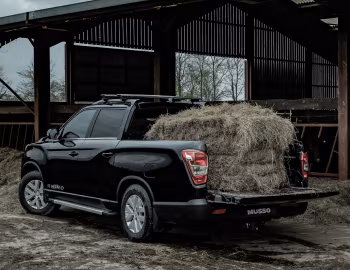 SsangYong Musso Rhino [UK-spec] '2022–23