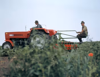 Steyr 50 '1967–71