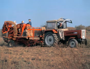 Steyr 50 '1967–71