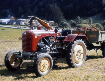 Steyr 84 '1956–64