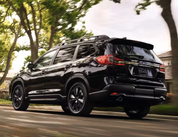 2022 Subaru Ascent "Onyx Edition" '2021–22