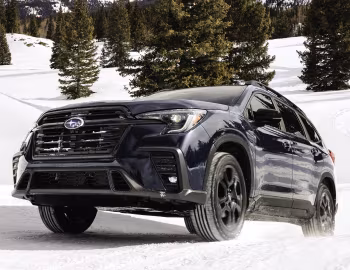 2023–pr. Subaru Ascent "Onyx Edition" '2022–pr.