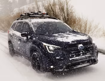 2023–pr. Subaru Ascent "Onyx Edition" '2022–pr.
