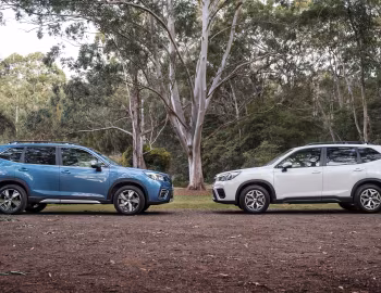 Subaru Forester [Japan] '2018–21
