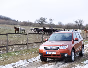 Subaru Forester [EU-spec] (SH) '2010–12
