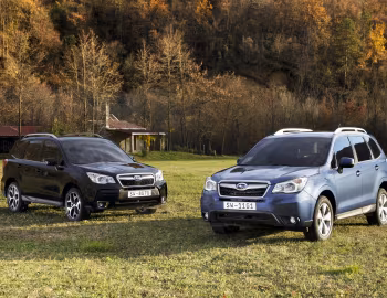 Subaru Forester [Worldwide] '2012–16
