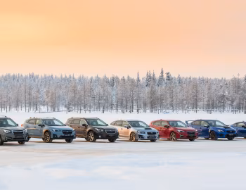 Subaru Forester, Subaru XV, Subaru Outback, Subaru Levorg, Subaru Impreza, Subaru WRX STI, Subaru BRZ