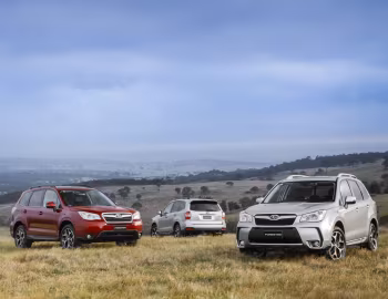 Subaru Forester [Japan] '2012–16