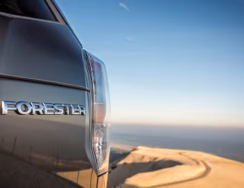 Subaru Forester 2.0i [Worldwide] '2015–18