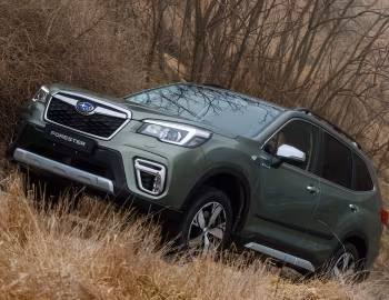 Subaru Forester e-Boxer [Worldwide] '2019–22