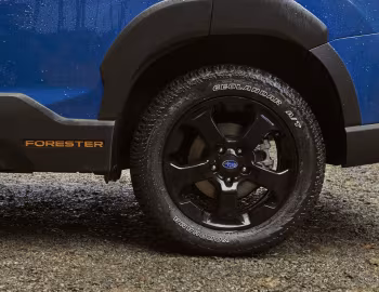 2022–24 Subaru Forester Wilderness [North America] '2021–24