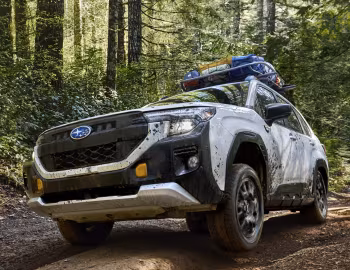 2026 Subaru Forester Wilderness [North America] '2025–pr.