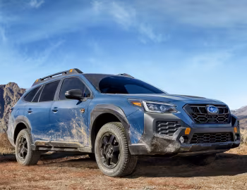 2024–25 Subaru Outback Wilderness [North America] '2023–25