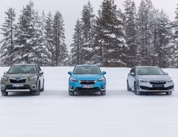 Subaru Impreza, Subaru XV, Subaru Forester