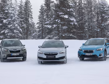 Subaru Impreza, Subaru XV, Subaru Forester