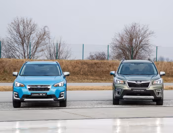 Subaru XV, Subaru Forester