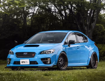 Mature Subaru WRX STI '2016