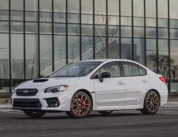 2020 Subaru WRX "Series.White" [North America] '2019–20