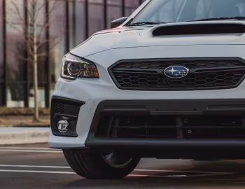 2020 Subaru WRX "Series.White" [North America] '2019–20
