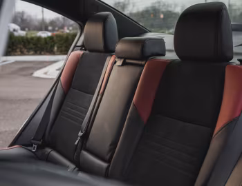 Interior 2020 Subaru WRX "Series.White" [North America] '2019–20