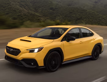 2026 Subaru WRX "Series.Yellow" [North America] '2025–26