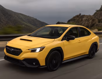 2026 Subaru WRX "Series.Yellow" [North America] '2025–26