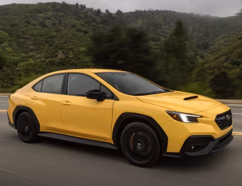 2026 Subaru WRX "Series.Yellow" [North America] '2025–26