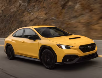 2026 Subaru WRX "Series.Yellow" [North America] '2025–26