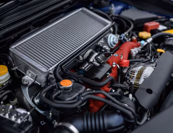 Porta-malas Subaru WRX STI "EJ20 Final Edition" [Japan] '2019