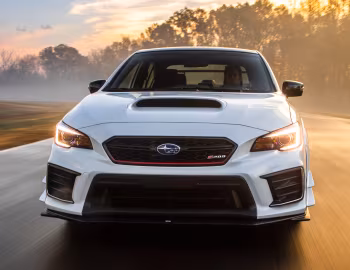 2019 Subaru STI S209 [North America] '2019