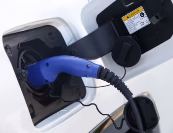 Suzuki Across [Worldwide] '2020–26